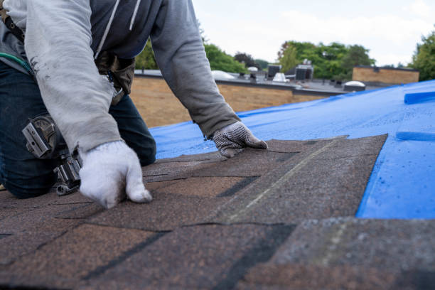 Quick and Trustworthy Emergency Roof Repair Services in Dunedin, FL