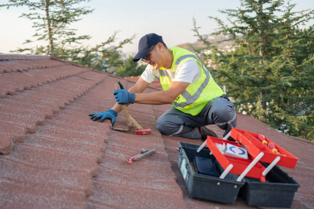 Residential Roof Replacement in Dunedin, FL