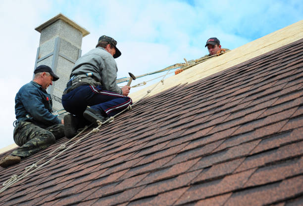Quick and Trustworthy Emergency Roof Repair Services in Dunedin, FL